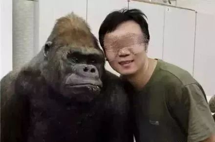 持续发酵!中大性骚扰教授妻子曾让学生签“师德良好”声明遭拒